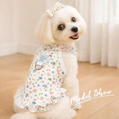 AXIIJGL pet apparel packaging view including both heart and floral designs.