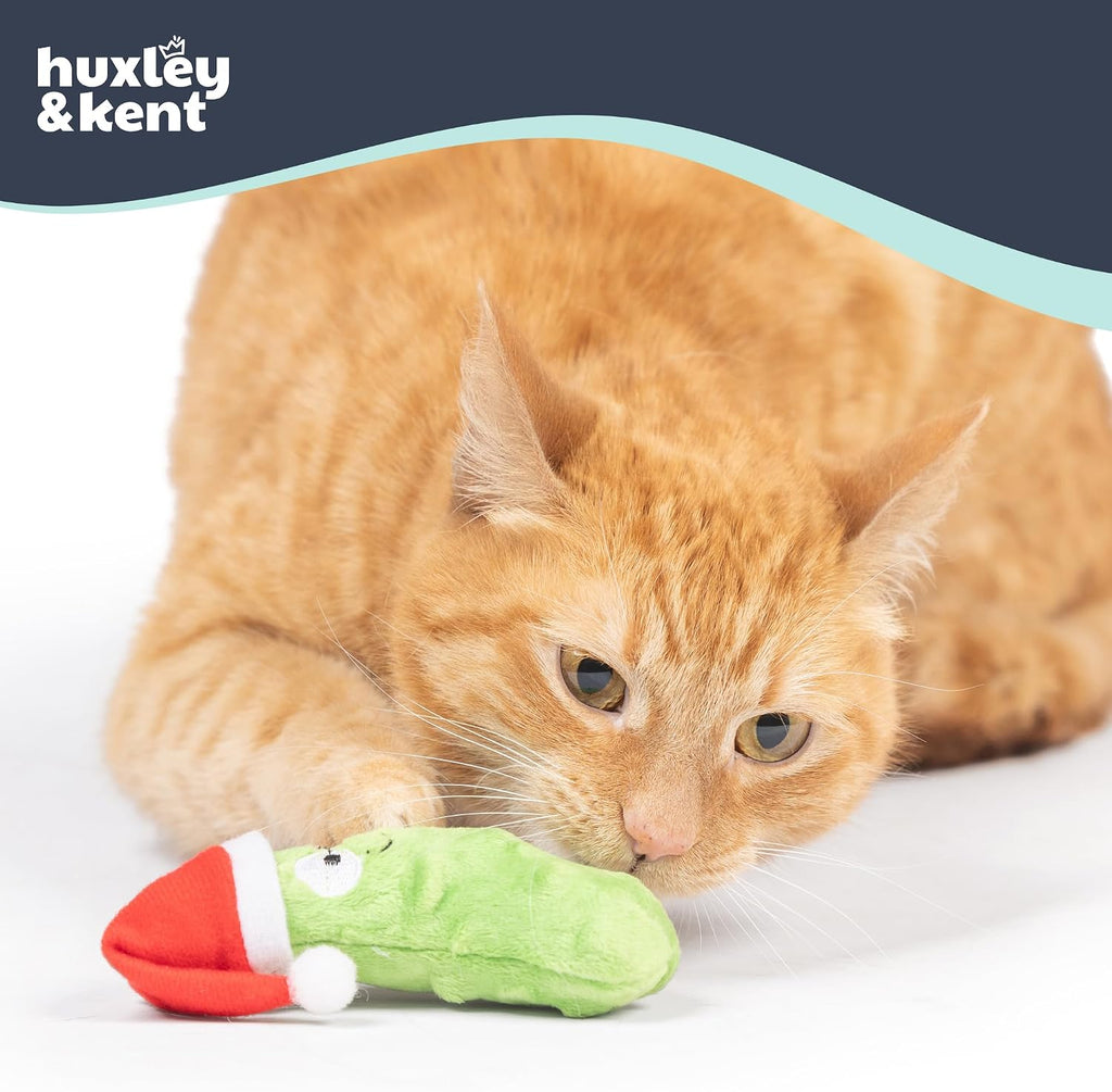 Soft crinkle cat toy for kittens and indoor cats close up shot.