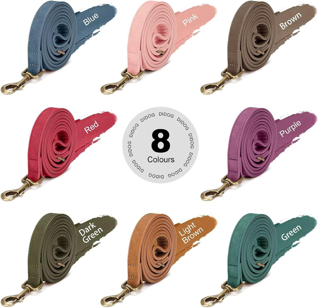 Didog small size light brown dog leash paired next to a matching color collar.