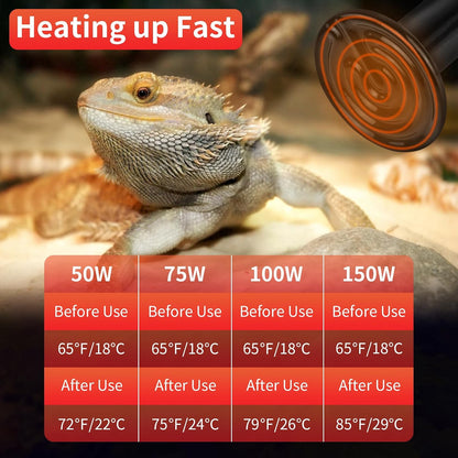 Lucky Herp reptile heating lamp installed in a heavy duty ceramic fixture socket