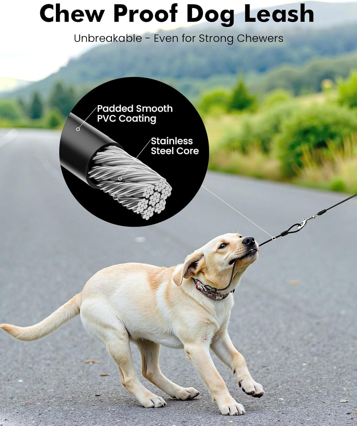 Black retractable dog leash with poop bag holder