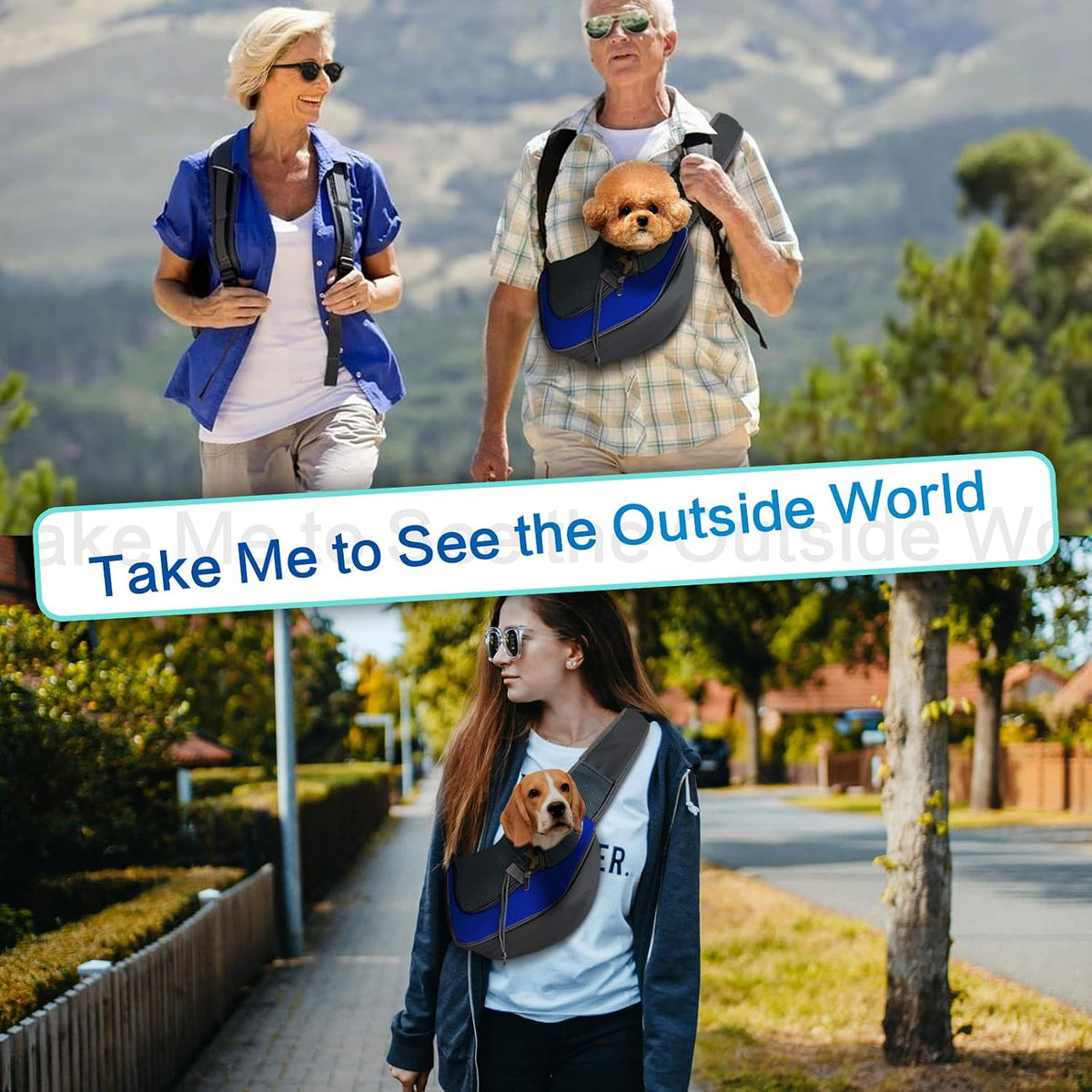Small dog sitting inside blue mesh puppy sling carrier