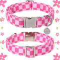 Close up of metal buckle on Up Urara Pup dog collar