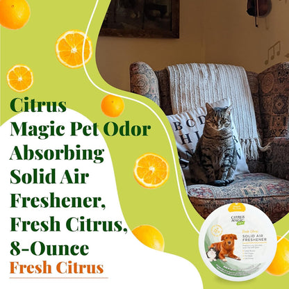 Citrus Magic pet supplies solid freshener eight ounce container close up view.