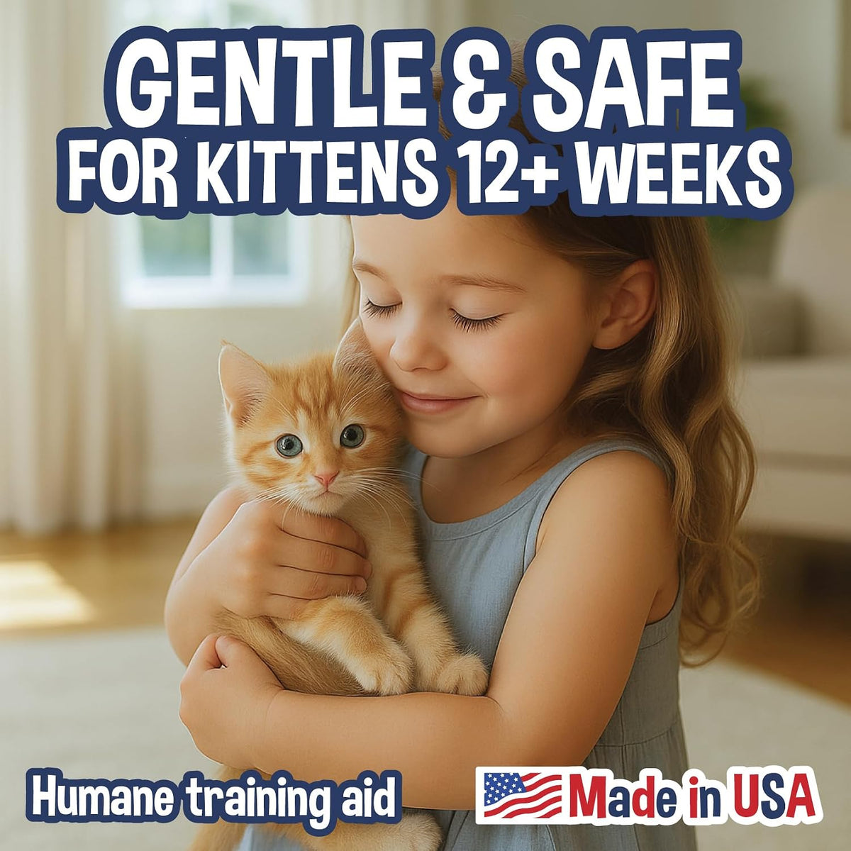 Cat deterrent spray bottle shown beside pet friendly living room items