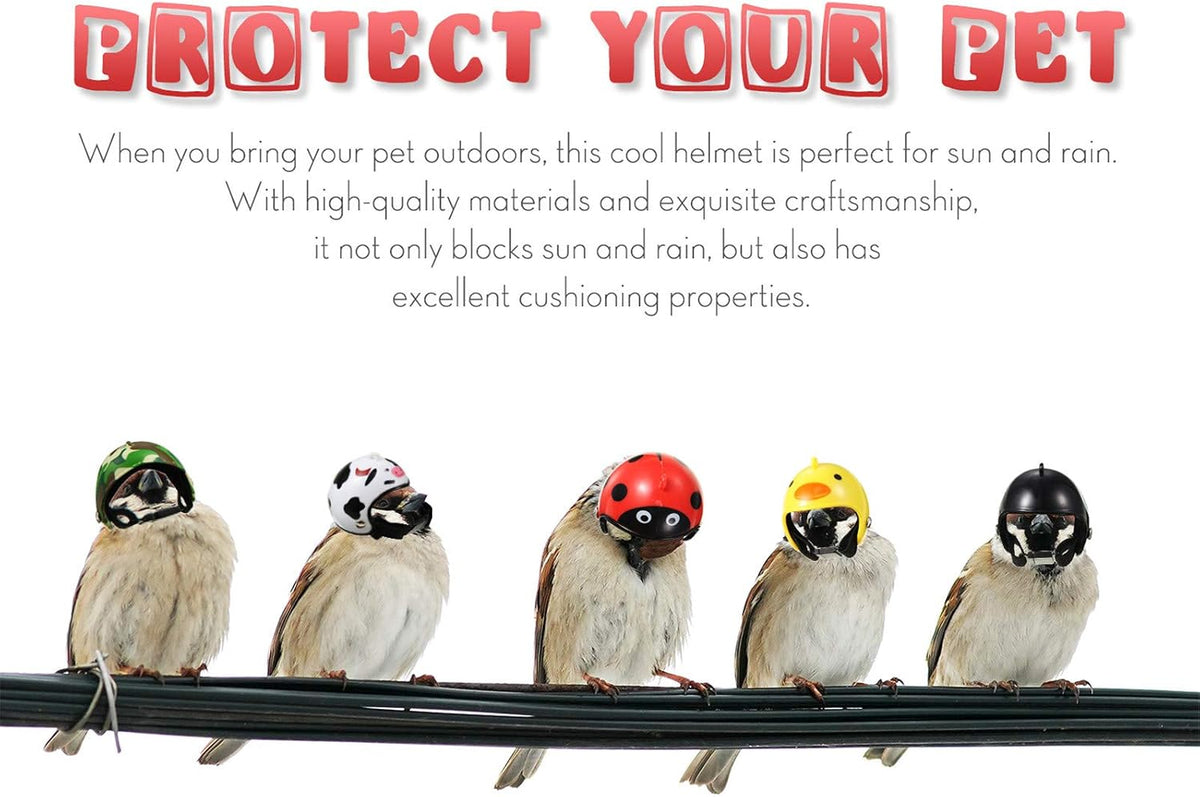Skylety parrot headwear top angle view