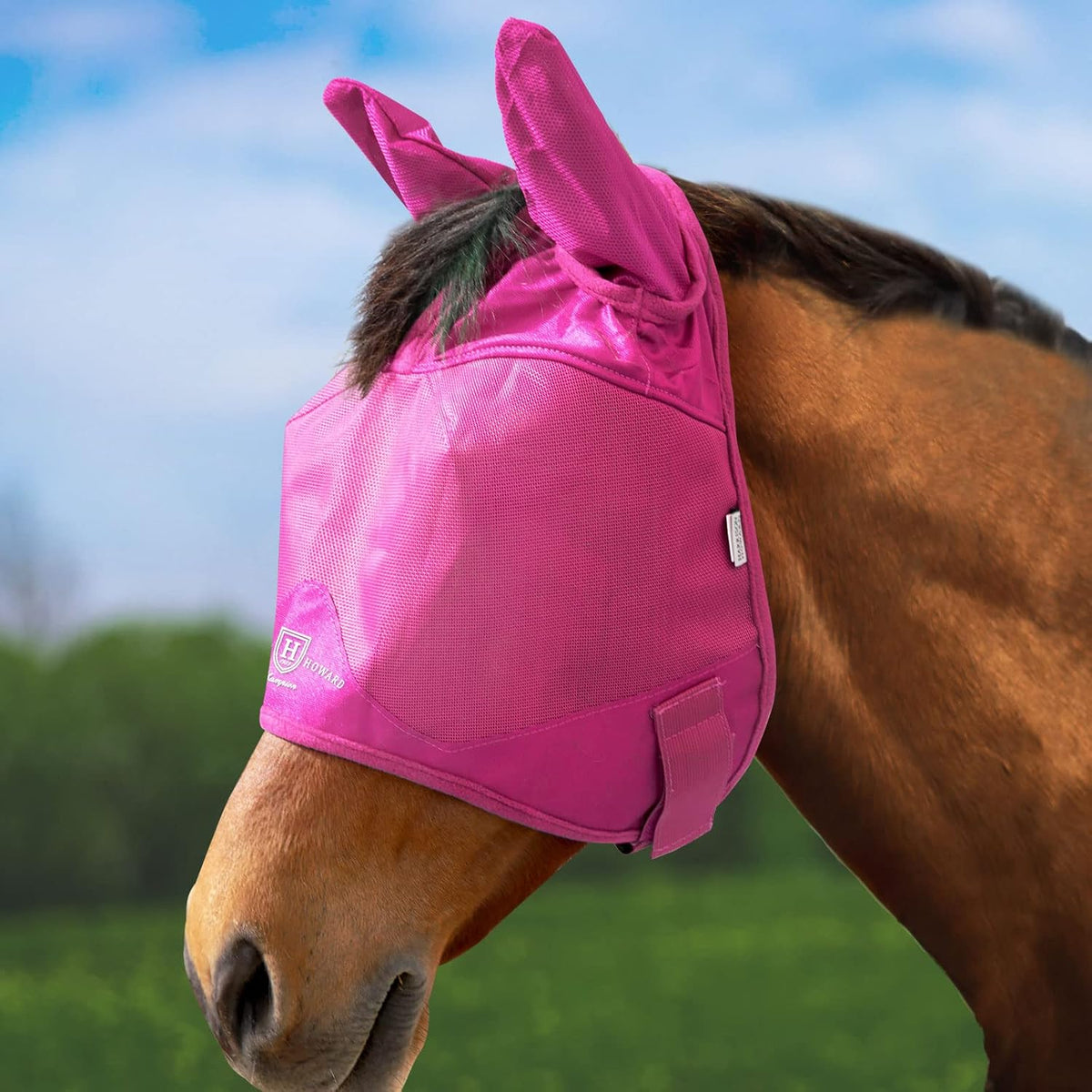 Harrison Howard magenta horse fly mask front view