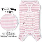 Dog wearing Paiaite recovery suit for abdominal protection
