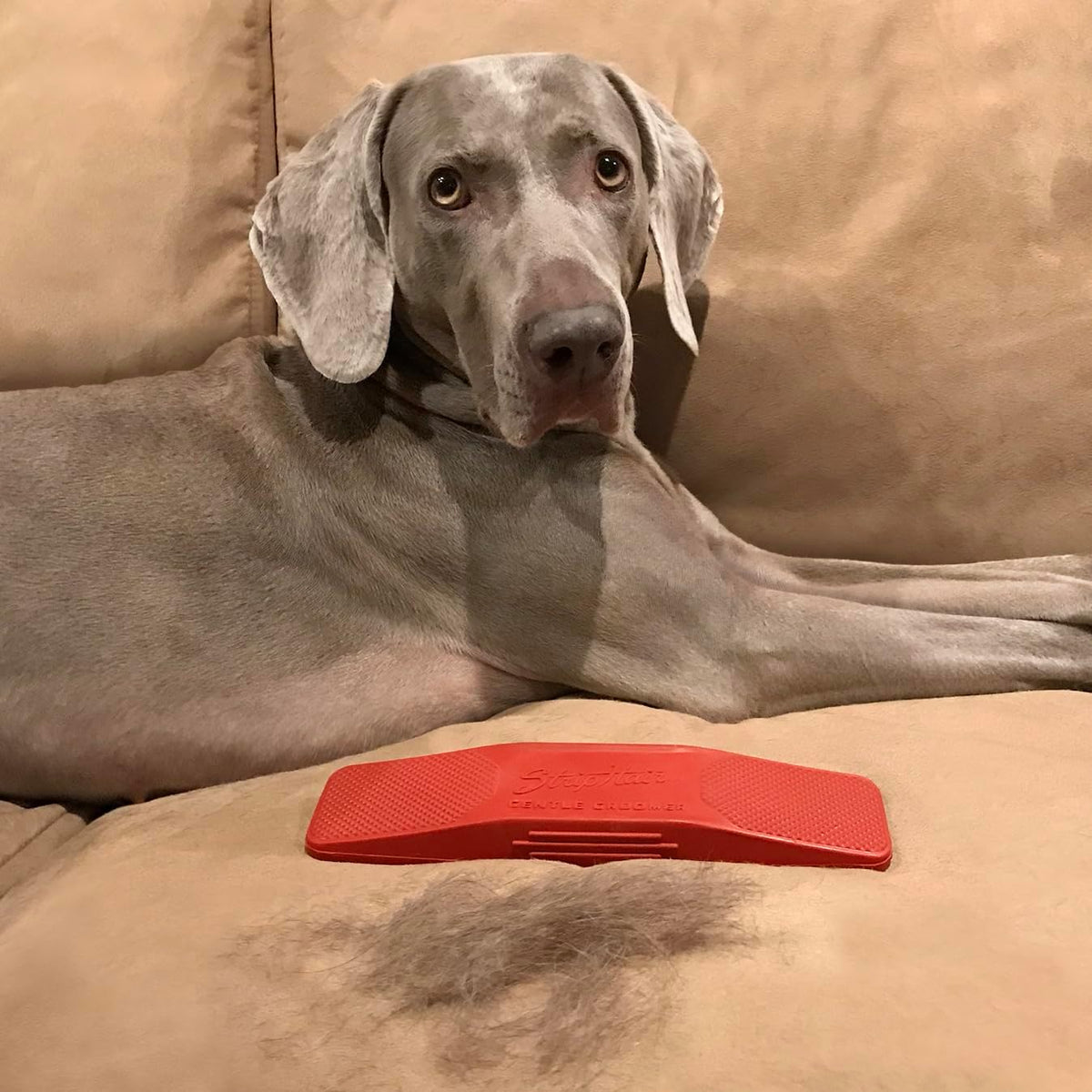 StripHair pet deshedding brush displaying exfoliating diamonds
