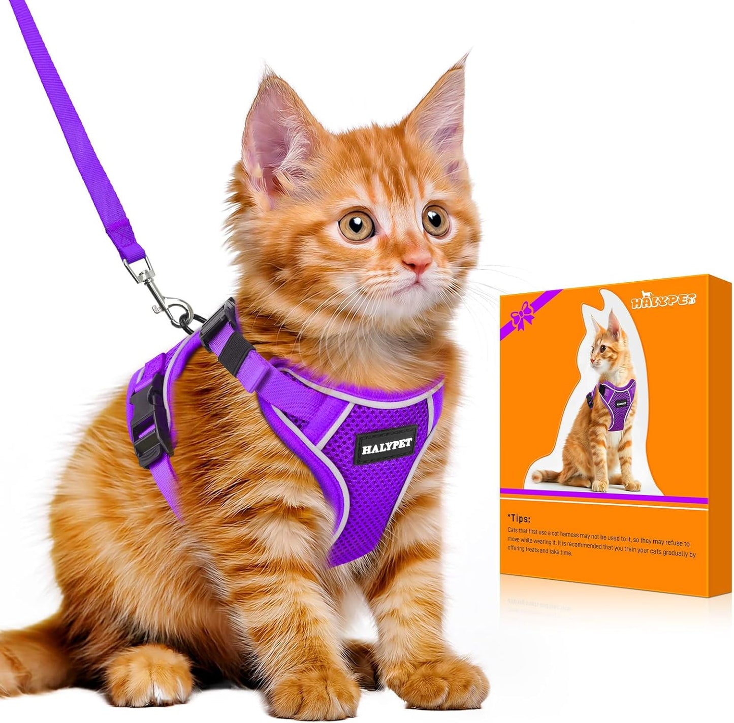 Halypet Cat Harness and Leash Set - MAX Safety 4th-Gen Upgrade, Escape Proof, Adjustable, Comfortable Soft Vest, Easy to Wear Kitten Harness with Reflective Strip for Cats Walking - Small Black - Image 11