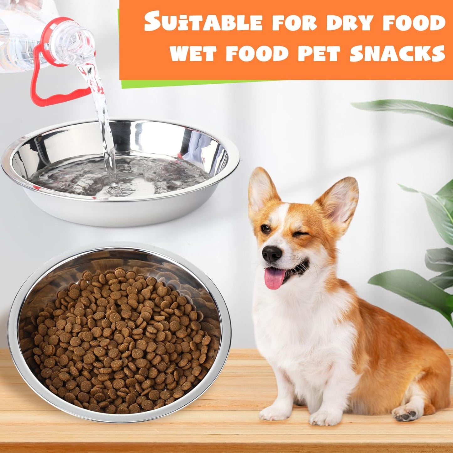 Patelai red and purple pet bowls for food and water storage