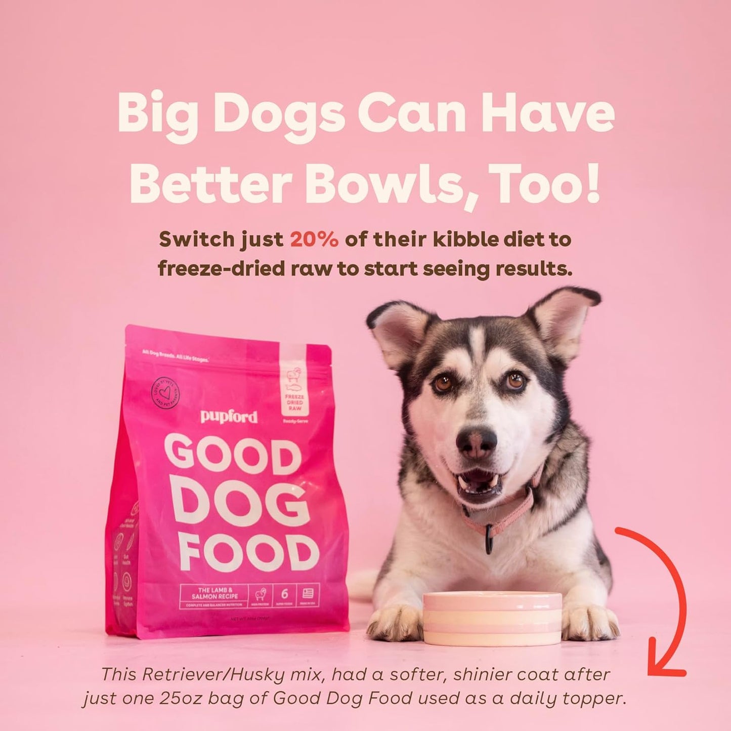 Premium imported pet food bowl filled with freeze dried beef chunks as a healthy meal topper