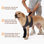 Cilkus dog recovery outfit featuring grey mesh torso and black protective sleeve