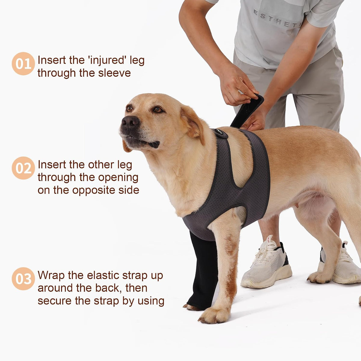 Cilkus dog recovery outfit featuring grey mesh torso and black protective sleeve