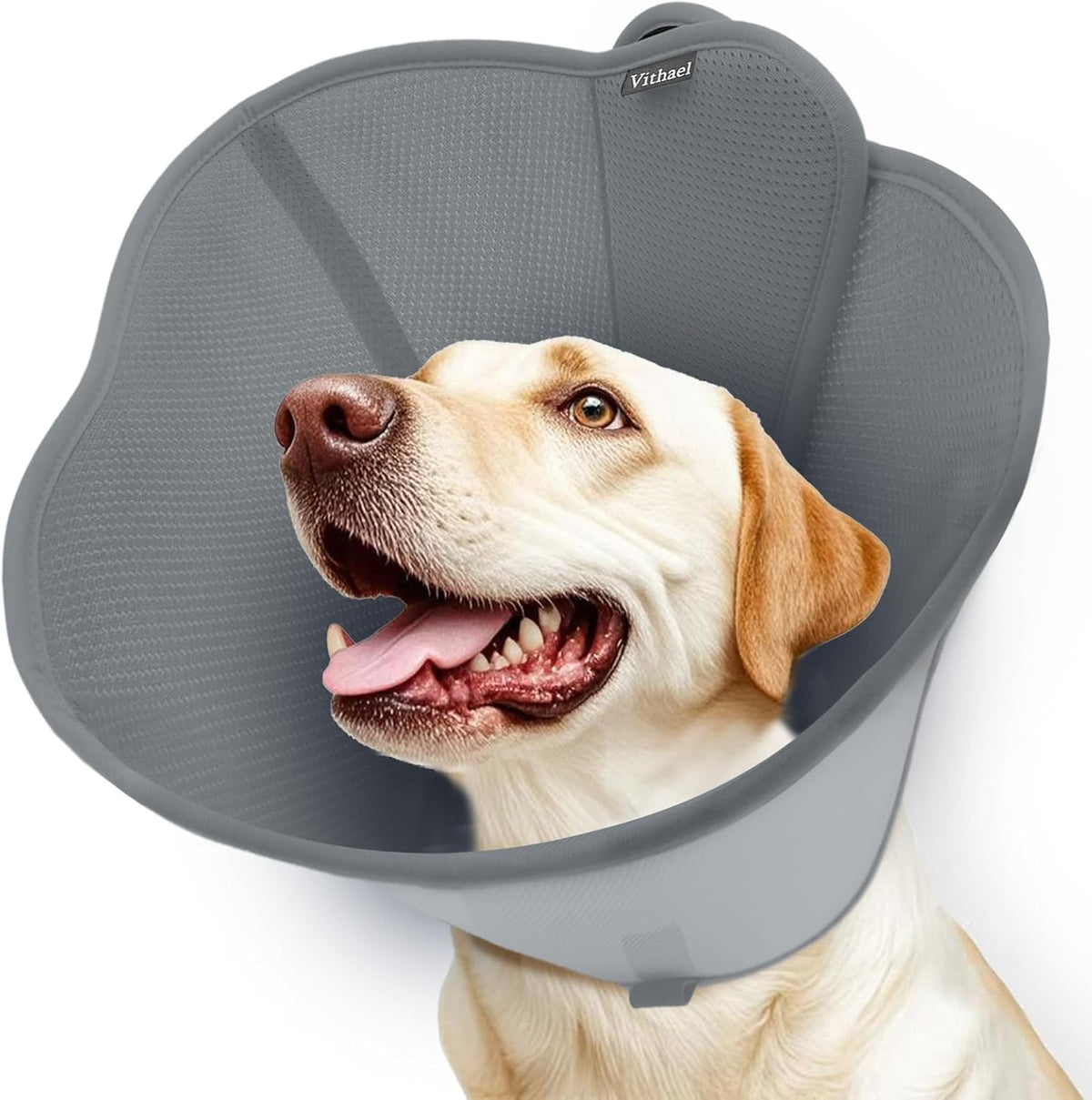Adjustable hook and loop fastener detail on Vithael dog cone