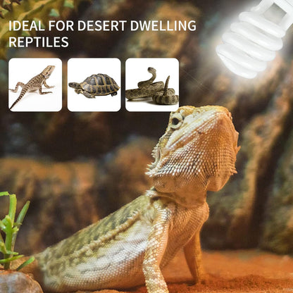 Lucky Herp desert terrarium lamp emitting safe UVA and UVB rays