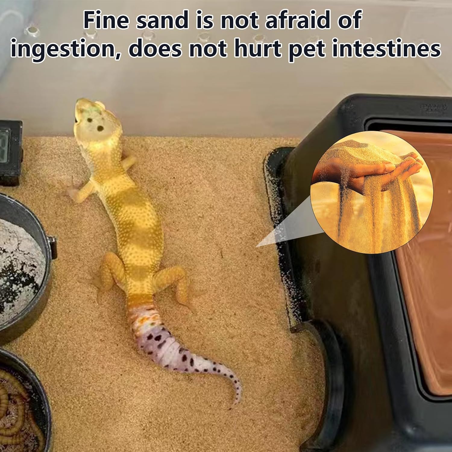 BNOSDM Reptile Sand,2.2lb Bearded Dragons Sands Substrate Bedding,Lizard Yellow Desert Blend Sands for Snakes Geckos Tortoises Turtle Tarantula - Image 7