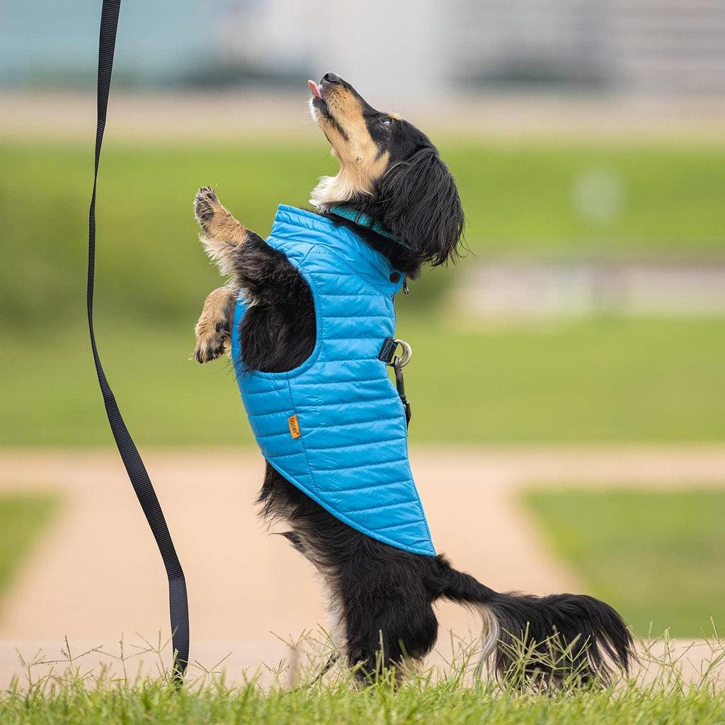 Detailed view of water resistant material on Gooby dog jacket