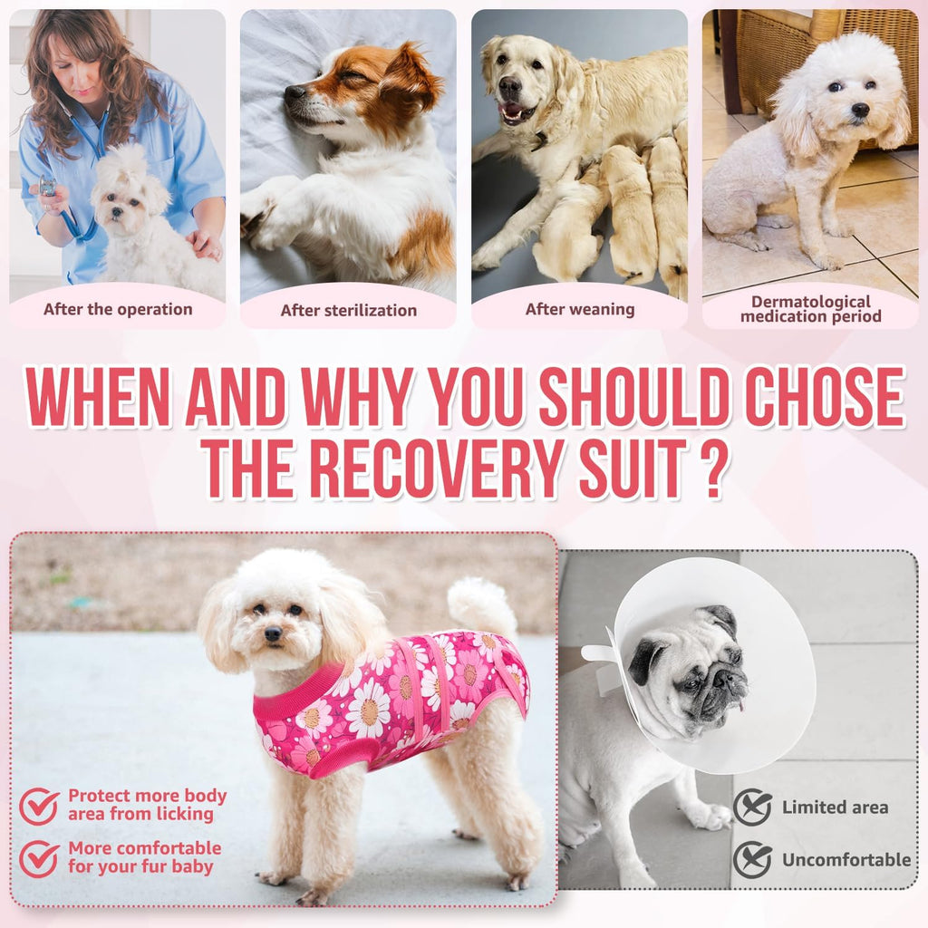 Nasjac small dog spay recovery suit side view on puppy.