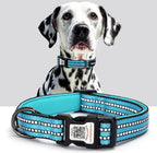 ILFINDYOU imported premium quality smart pet ID collar packaging and design features