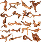 Suzile natural coral driftwood 20 pieces package front view showing assorted organic shapes for aquarium decoration.