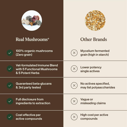 Premium USA-imported Real Mushrooms daily wellness chews for pets.