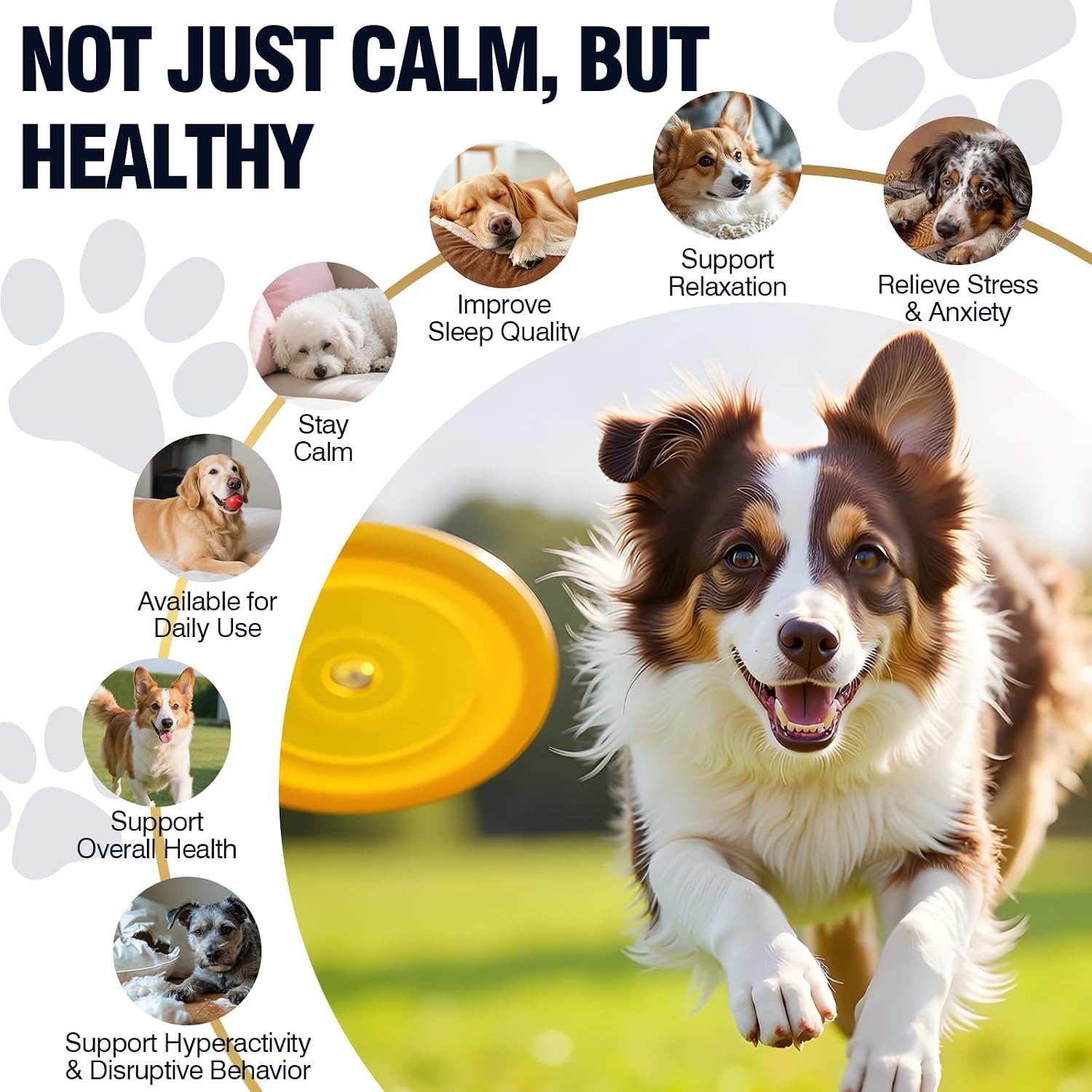 VUN dog calming bites with melatonin showing chicken flavor treat texture.