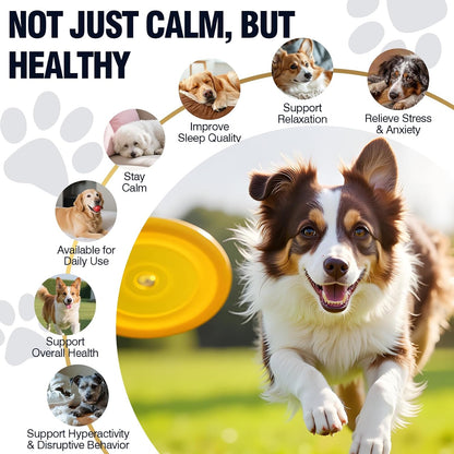 VUN dog calming bites with melatonin showing chicken flavor treat texture.
