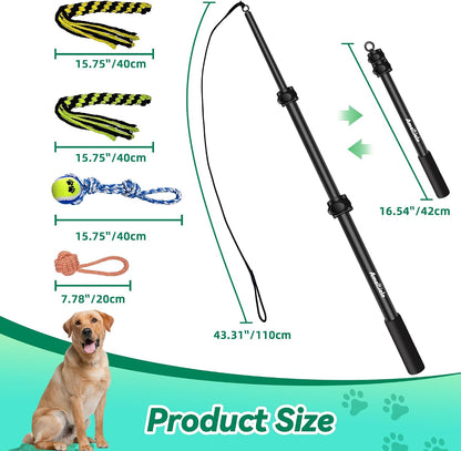Outdoor pet training session using the AmaCielo durable teaser wand for agility and focus.