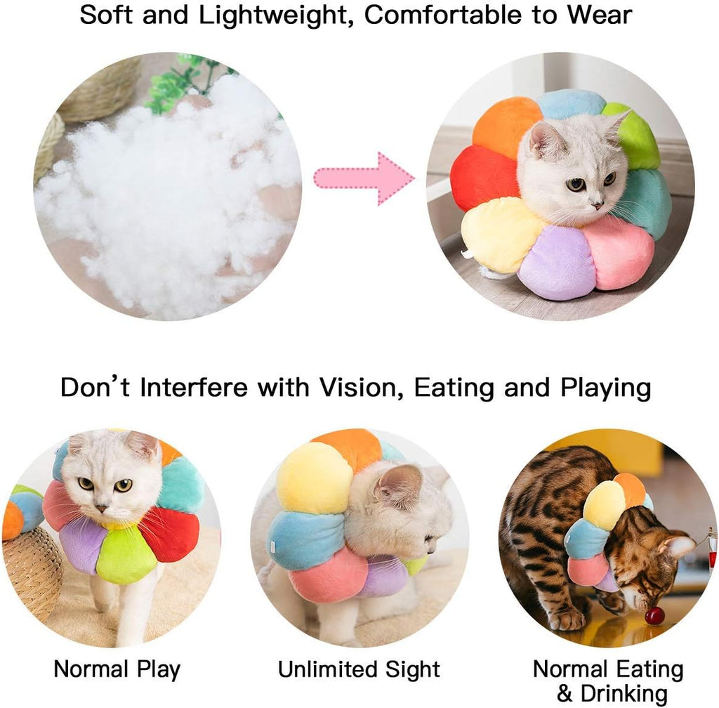 Kudes small pet Elizabethan collar lifestyle shot on a kitten