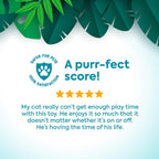 USA imported SmartyKat interactive cat toy on floor