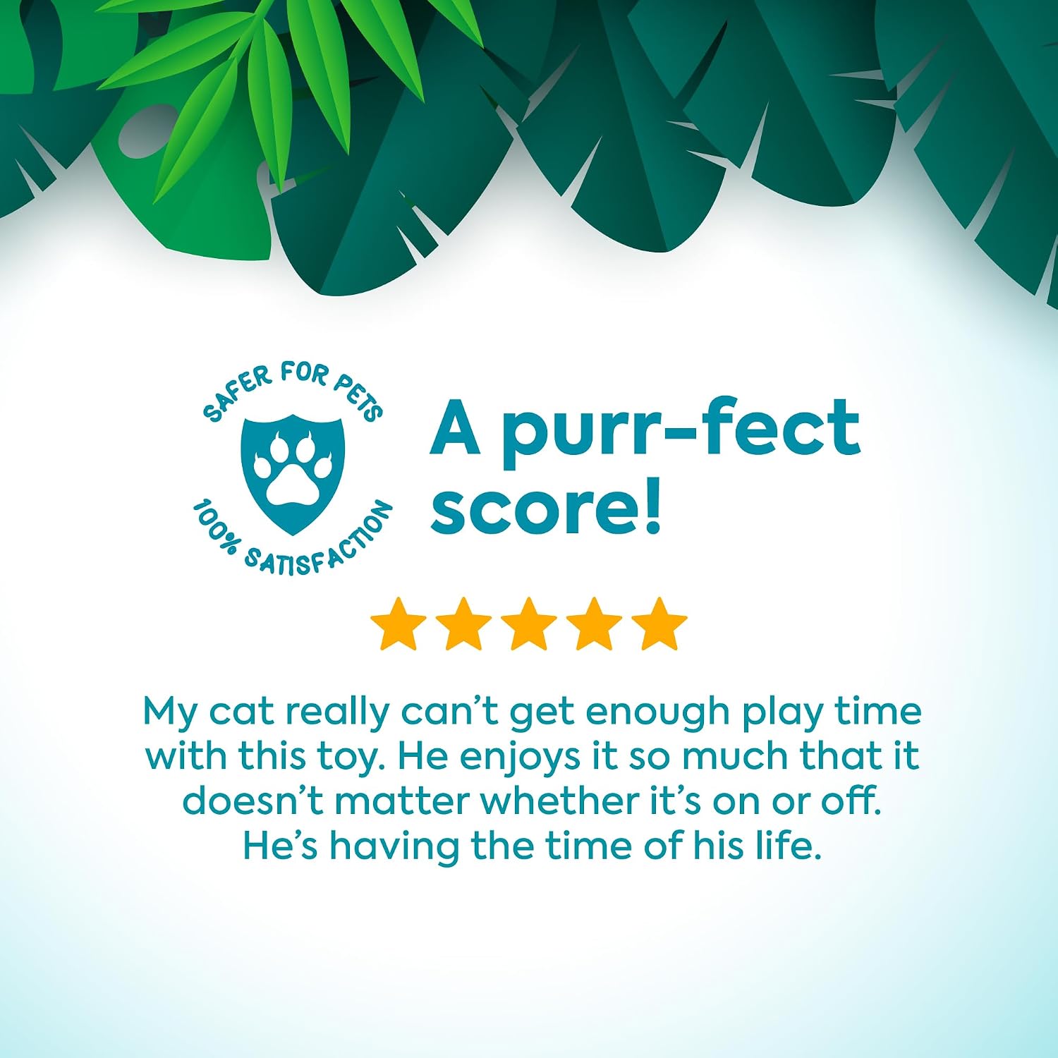 USA imported SmartyKat interactive cat toy on floor