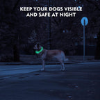 NOVKIN LED Dog Collar, Cut-to-Fit Light Up Dog Collar for Night Walking, IP67 Waterproof USB Rechargeable Glowing Pet Collar, High Visibility Super Bright Safety Lights for S/M/L Dogs(Blue) - Image 3