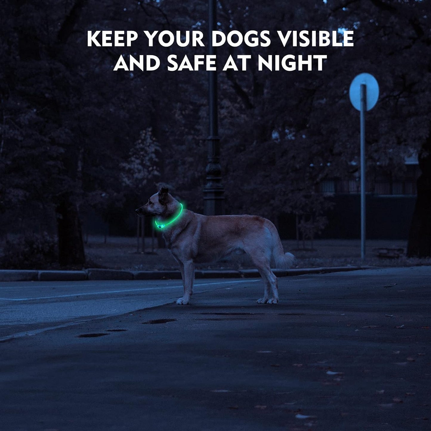 NOVKIN LED Dog Collar, Cut-to-Fit Light Up Dog Collar for Night Walking, IP67 Waterproof USB Rechargeable Glowing Pet Collar, High Visibility Super Bright Safety Lights for S/M/L Dogs(Blue) - Image 3