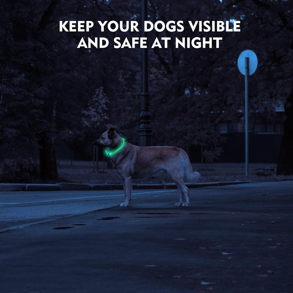 NOVKIN LED Dog Collar, Cut-to-Fit Light Up Dog Collar for Night Walking, IP67 Waterproof USB Rechargeable Glowing Pet Collar, High Visibility Super Bright Safety Lights for S/M/L Dogs(Blue) - Image 3