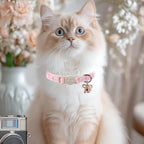 Babole Pet pink bow tie cat collar set highlighting the adjustable length slider for growing kittens.