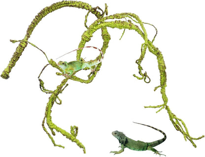 Bnosdm reptile jungle vine front view with moss texture