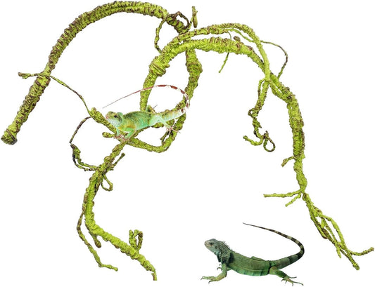 Bnosdm reptile jungle vine front view with moss texture