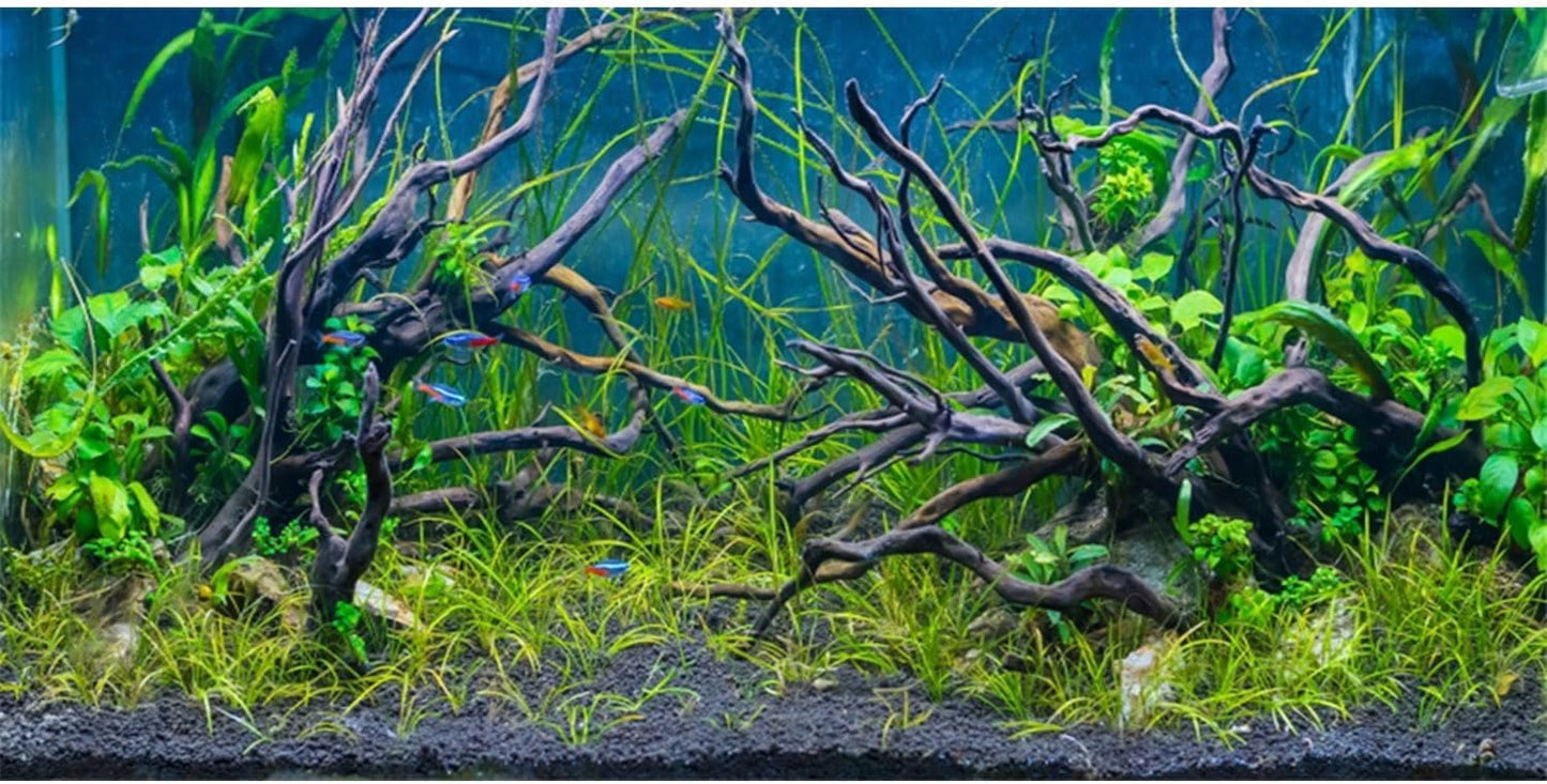 AWERT Tropical Fish Tank Background front view of aquatic river bed pattern.