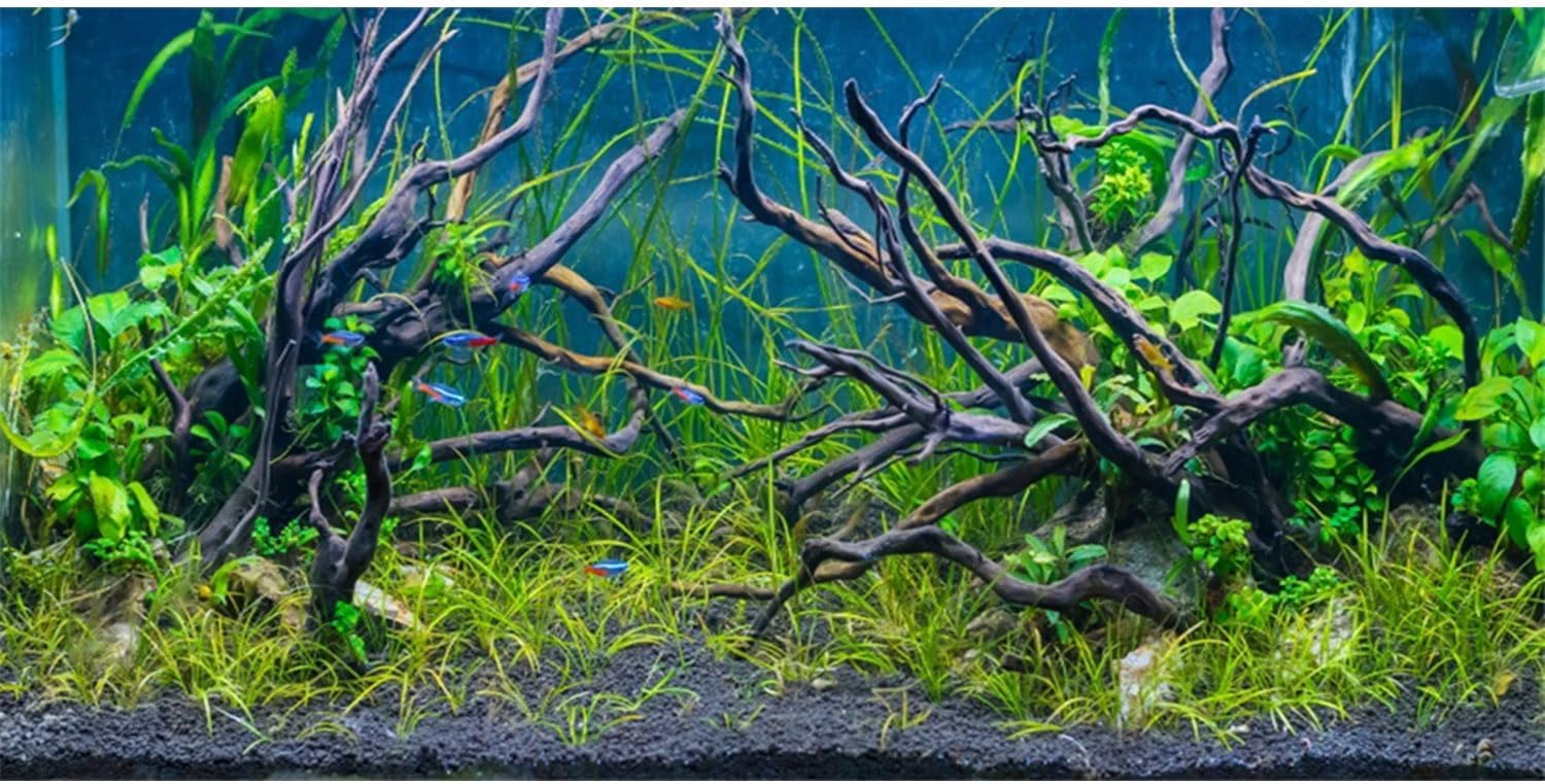 AWERT Tropical Fish Tank Background front view of aquatic river bed pattern.
