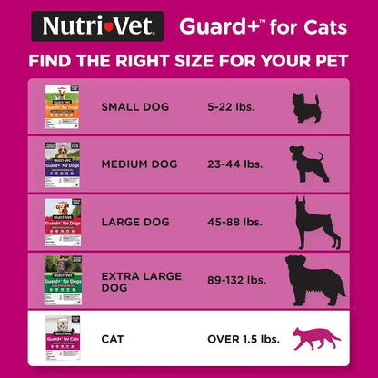 Nutri-Vet monthly spot on treatment breaking the flea life cycle diagram