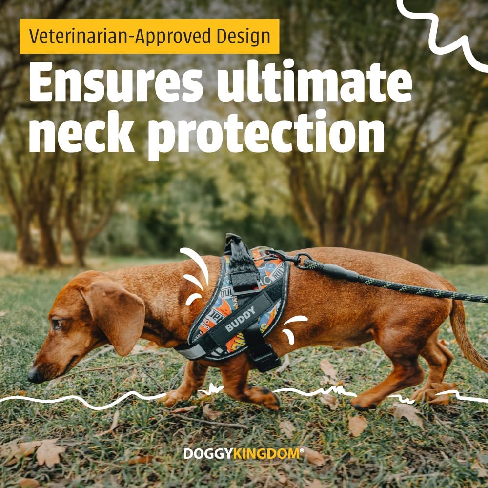 Doggykingdom adjustable no choke pet harness showing top control handle