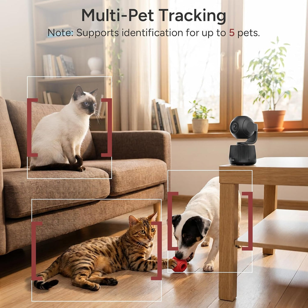 SiiPet PawTrack camera showing auto-tracking feature with a cat
