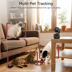 SiiPet PawTrack camera showing auto-tracking feature with a cat