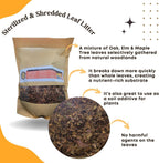 Scottys Bugs woodland leaf litter for reptiles and isopods side profile