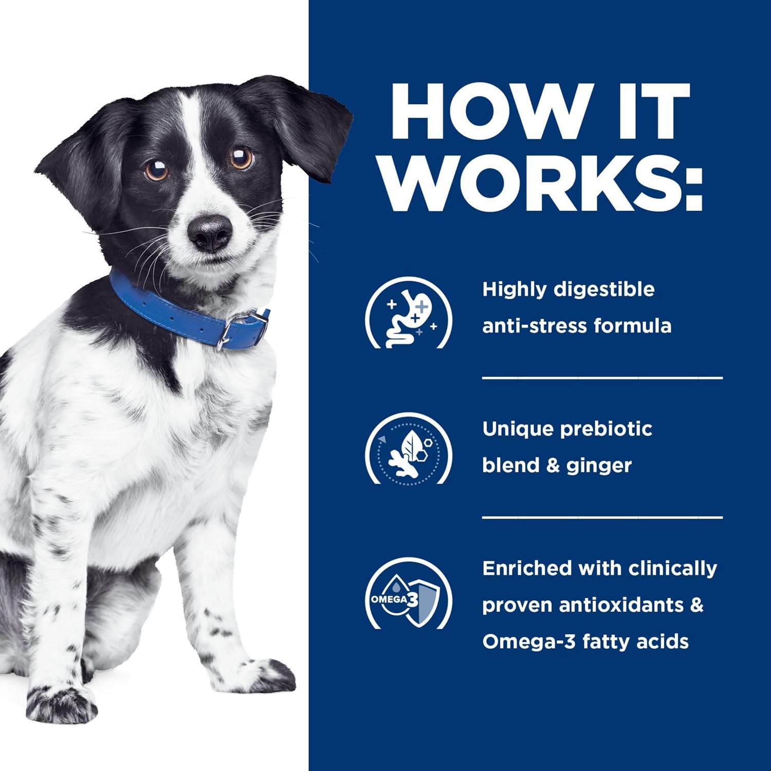 Hill's Prescription Diet i/d Stress Digestive Care Dry Dog Food, Chicken, 14.33 lb. Bag - Image 9