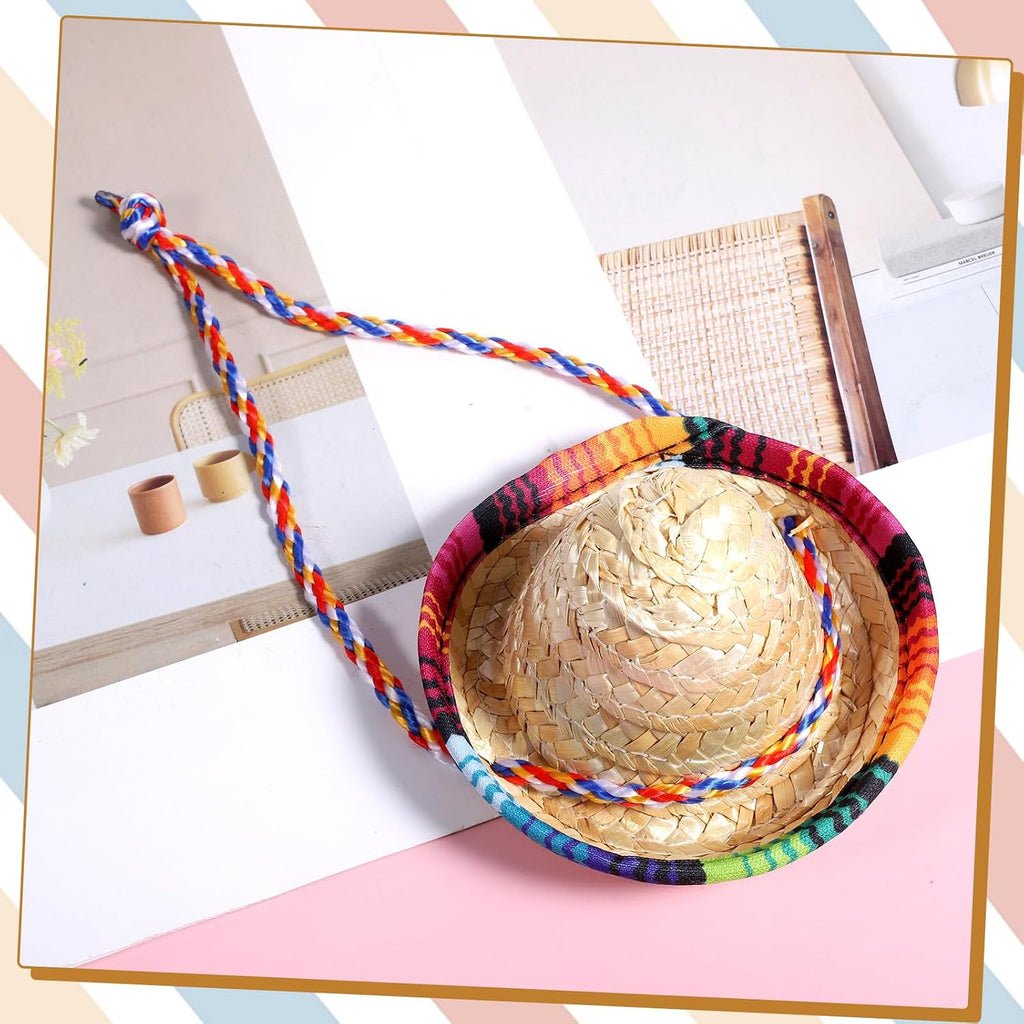 Gtziqa bearded dragon holiday outfit straw sombrero product dimensions view