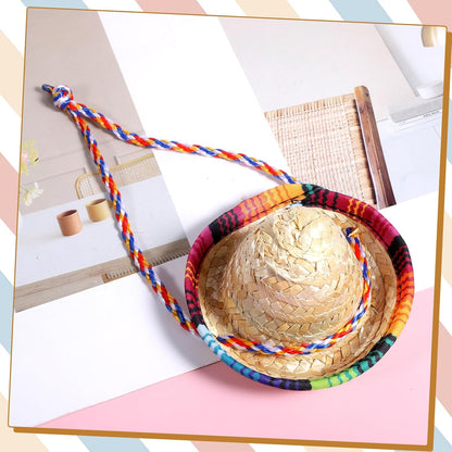 Gtziqa bearded dragon holiday outfit straw sombrero product dimensions view