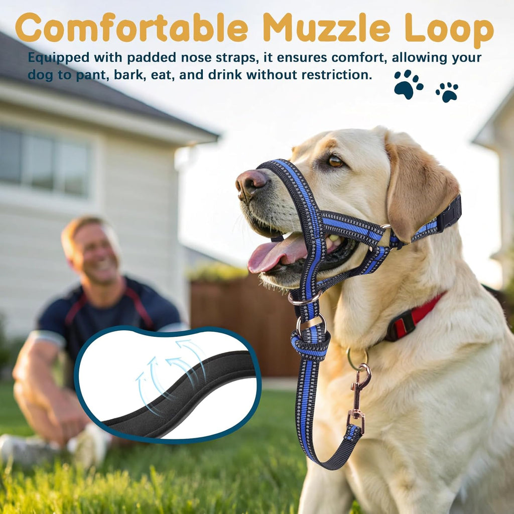 Dog wearing Barkless adjustable head collar on a walk