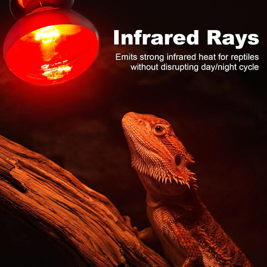 Wacool Terra red basking spot light two pack packaging view